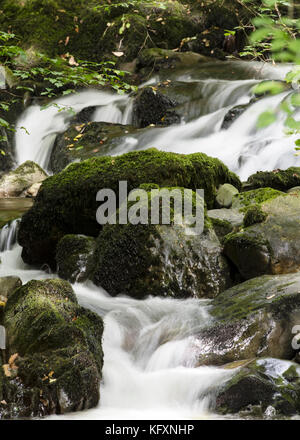 Eau qui coule sous Stockghyll Force, Ambleside, Cumbria, Royaume-Uni Banque D'Images