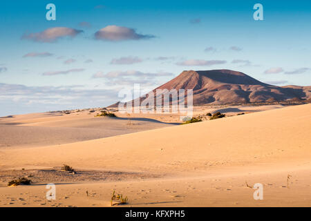 Parque Natural De Corralejo Sand Dunes Corralejo La Oliva Fuerteventura Îles Canaries Espagne Banque D'Images