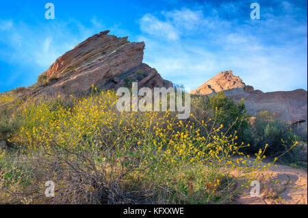 Vasquez Rocks jaune emblématique avec plantes florissantes à l'avant-plan photographié au coucher du soleil à Vasquez Rocks Parc Naturel, Santa Clarita, Californie. Banque D'Images