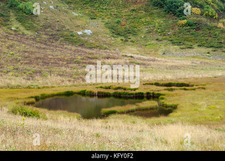 Une vue de la végétation marécageuse, Reed Lake dans une vallée de montagne avec plusieurs zones d'eau libre Banque D'Images