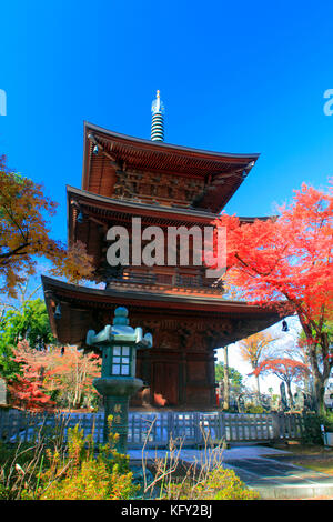 Trois étages de la pagode du temple gotokuji en automne couleur à Tokyo au Japon Banque D'Images
