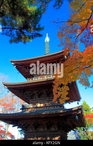 Trois étages de la pagode du temple gotokuji en automne couleur à Tokyo au Japon Banque D'Images