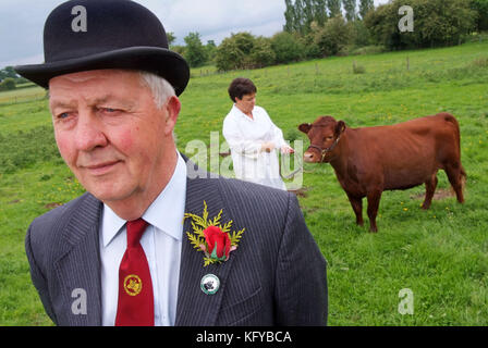 George Godber (bovins show juge) dans son évaluation des vêtements, à la maison , dans Holberrow vert, nr.Redditch, avec l'une de ses vaches Dexter Banque D'Images