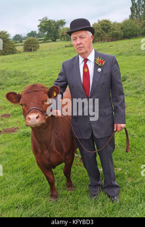 George Godber (bovins show juge) dans son évaluation des vêtements, à la maison , dans Holberrow vert, nr.Redditch, avec l'une de ses vaches Dexter Banque D'Images