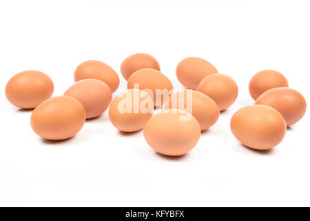 Grand groupe d'oeufs brun isolé sur un fond blanc. Banque D'Images