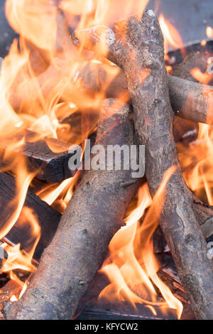 Brûler des morceaux de bois dans un feu de camp Banque D'Images