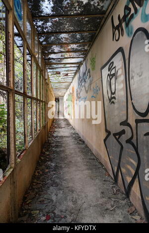 Ici j'ai pris une photo dans un bâtiment abandonné et vous pouvez voir un long couloir avec des graffitis sur le droit et de vieilles fenêtres dans la gauche. Banque D'Images