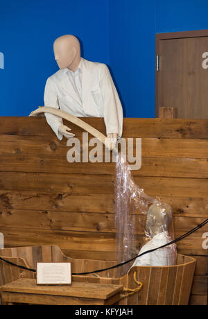 Saint-Joseph, Missouri. Musée Psychiatrique De Glore. Baignoire de douching. Banque D'Images