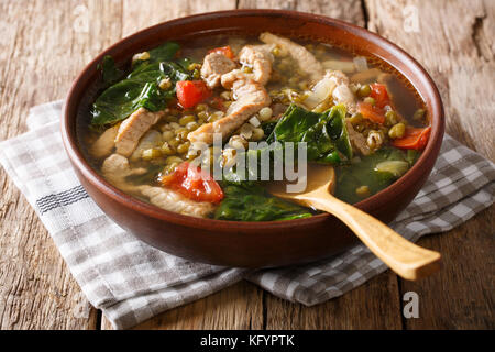 Soupe aux haricots mungo philippine avec gros plan de porc dans un bol sur la table horizontale. Banque D'Images