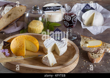 Les produits laitiers locaux de les Hauts-de-France Région : sélection de fromages, Ecume de Wimereux, Sable de Wissant, le Fort d'Ambleteuse, Dome de Boulogne un Banque D'Images