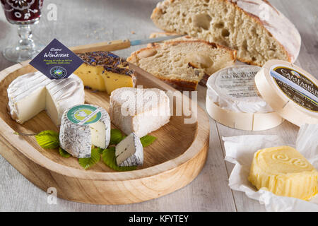 Les produits laitiers locaux de les Hauts-de-France Région : sélection de fromages, Ecume de Wimereux, Marbre de sarriette et le Camembert du Boulonnais Banque D'Images