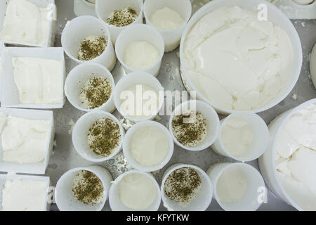 La fabrication du fromage de chèvre à la ferme "La Ferme du Petit Quenneval' dans Wirwignes (nord de la France). Atelier, fromage de chèvre Banque D'Images