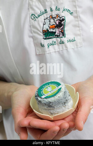 La fabrication du fromage de chèvre à la ferme "La Ferme du Petit Quenneval' dans Wirwignes (nord de la France). Atelier, fromage de chèvre : salé, un fromage persillé Banque D'Images