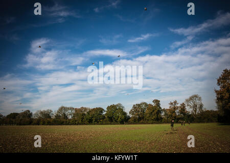 En ligne d'armes de tir au champ de tir faisans, Hampshire, Angleterre. Banque D'Images