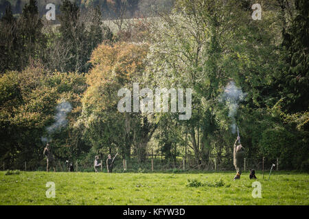 Messieurs le tournage d'un faisan sur les tirer, Hampshire, Angleterre. Banque D'Images