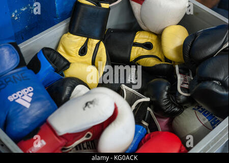 Une boîte en plastique grise contenant des séries de gants de boxe et des gants d'entraînement dans la salle de sport. Banque D'Images