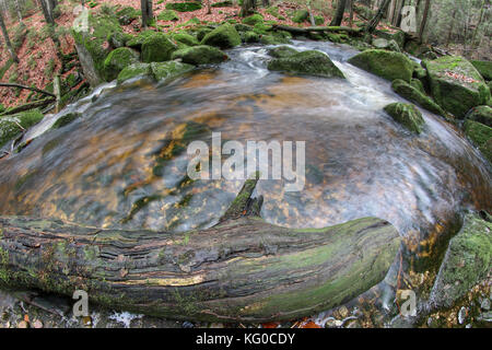 Brook dans la forêt d'automne Banque D'Images