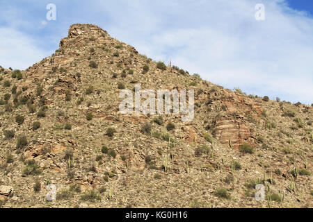 Montagne de Saguaro sur le mont Lemmon à Tucson en Arizona Banque D'Images