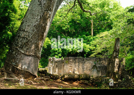 Kenya, gede ruines sont les vestiges d'un village swahili situé dans gedi, un village près de la ville côtière de Malindi Banque D'Images