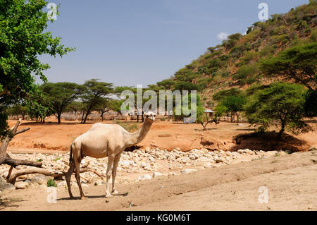 Les paysages de montagne dans un environnement de la south horr village de samburu au Kenya Banque D'Images