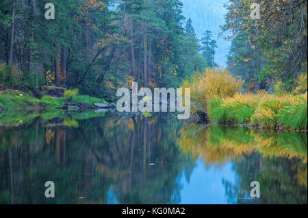 Merced River et l'automne la végétation autour de la rivière, Yosemite National Park, Californie. Banque D'Images