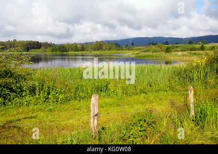 Grande vue d'abbaye lake, également connu sous le nom de grandvaux lac, ou lac grande rivière dans le jura, france Banque D'Images