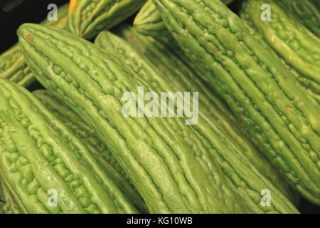 Fermé tas de vert éclatant, concombre amer amer poire ou de sapin baumier Banque D'Images