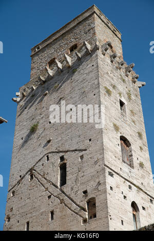 San Gimignano Toscane Italie, Raisin, vigne, vie de voyage, paysage, ciel bleu Banque D'Images