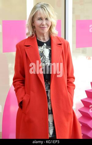 Rome, Italie. 09Th nov, 2017 Cinéma Fest 2017. Rome. rome film festival. photocall jury taodue. photo : Trudie Styler : crédit photo agency indépendante/Alamy live news Banque D'Images