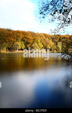 Newmillerdam Wakefield, Royaume-Uni. 2Nd nov 2017. uk weather. un ciel couvert mais sec novembre journée à newmiller, près de Wakefield, dans le Yorkshire de l'Ouest. c'est une longue exposition image montrant circulation dans les arbres qui a également facilité l'ondulation de l'eau. pris sur le 2 novembre 2017. crédit : Andrew Gardner/Alamy live news Banque D'Images