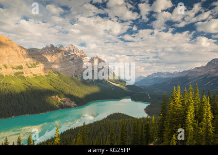 Vue d'ensemble sur le lac Peyto, Banff National Park, site du patrimoine mondial de l'UNESCO, de l'Alberta, des montagnes Rocheuses, au Canada, en Amérique du Nord Banque D'Images