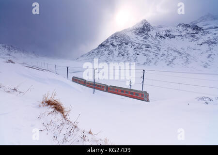 Train bernina express au col de la Bernina sous une chute de neige, engadine, canton des Grisons, Suisse, Europe Banque D'Images