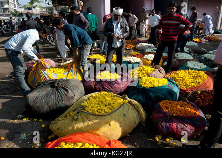 L'achat d'hommes tagètes, jaune et pesé les sacs de tissu de coton en faisceaux, tôt le matin au marché aux fleurs, Jaipur, Rajasthan, Inde, Asie Banque D'Images