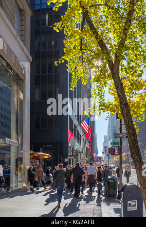 5e Avenue, New York, NY, USA Banque D'Images