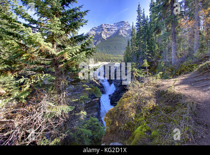 Les bois du châssis à mont Kerkeslin et la chute d'Athabasca à Jasper, Alberta Banque D'Images