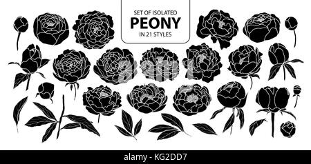 Ensemble de silhouette isolés dans 21 pivoine styles. cute vector illustration fleurs dessinés à la main, en noir et blanc indiquant plan sur fond noir. Illustration de Vecteur