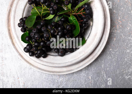 Aronie à silver bol en métal sur fond gris. aronia berry avec feuille. vue d'en haut. copy space Banque D'Images