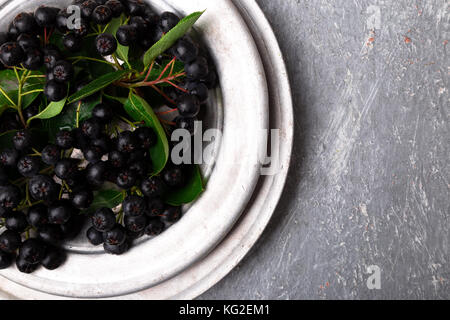 Aronie à silver bol en métal sur fond gris. aronia berry avec feuille. vue d'en haut. copy space Banque D'Images