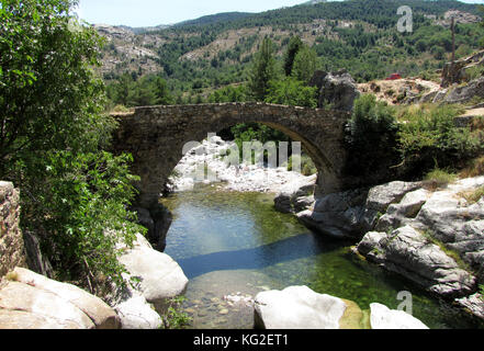 Le pont génois d'Albertacce sur Golo, près de casamaccioli, corse Banque D'Images