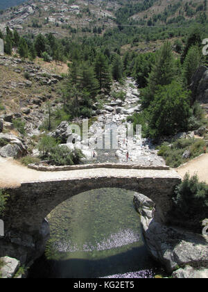 Le pont génois d'Albertacce sur Golo, près de casamaccioli, corse Banque D'Images