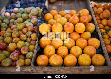 Les fruits fraîchement récoltés en vente sur le marché des fermiers avec des prunes de couleur et les clémentines en plateaux en bois Banque D'Images