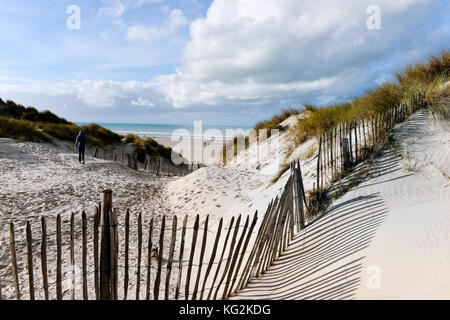 Dunes de sable au Touquet - Paris Plage, pas-de-Calais - hauts-de-France - France Banque D'Images