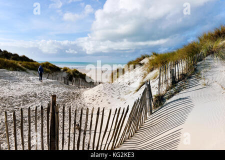 Dunes de sable au Touquet - Paris Plage, pas-de-Calais - hauts-de-France - France Banque D'Images