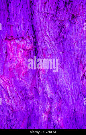 Tinted Bark. Écorce d'arbre de différentes couleurs à utiliser comme arrière-plans d'art ou de décoration. Ceci est une image d'un véritable arbre dans le parc du château de Bodiam, Banque D'Images