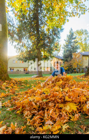 Jeune garçon plongeant dans un tas de feuilles Banque D'Images