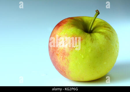 Pomme jaune et rouge couvert de gouttes d'eau, tige visible - sur un fond blanc Banque D'Images