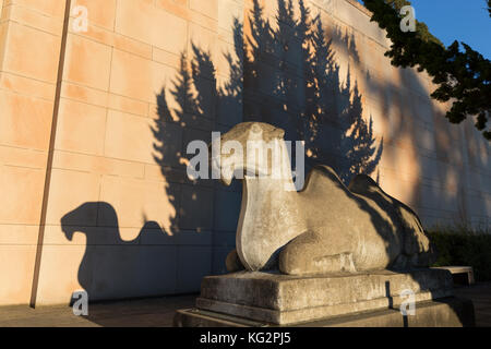 Seattle, Washington : sculpture chameau jette une ombre sur la Seattle Asian Art Museum au coucher du soleil. Banque D'Images