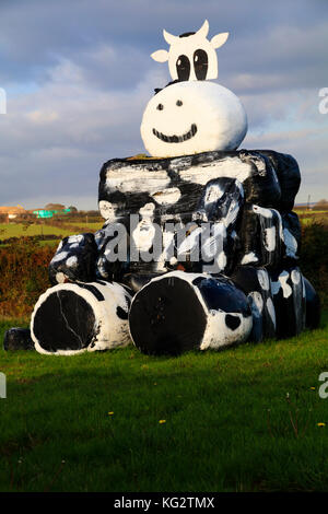 Recouvert de plastique noir bottes de foin pour les fourrages d'hiver organisés et peint pour ressembler à une vache noir et blanc Banque D'Images