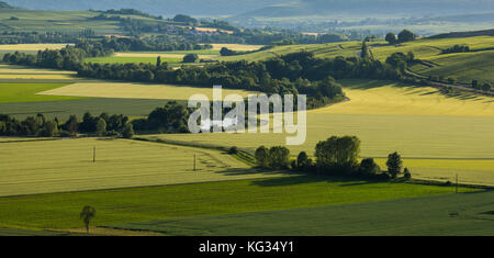 La vallée de la Marne dans la région Champagne près d'Epernay avec vignobles, au coucher du soleil, en France. Banque D'Images