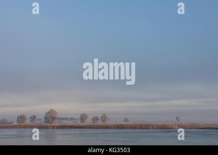 Paysage d'hiver au parc national De Weerribben wieden avec matin brouillard et lumière du matin, aux Pays-Bas. Banque D'Images